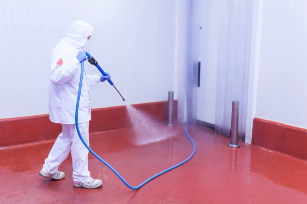 Best Spring Cleaning  in Silver Lake, NJ